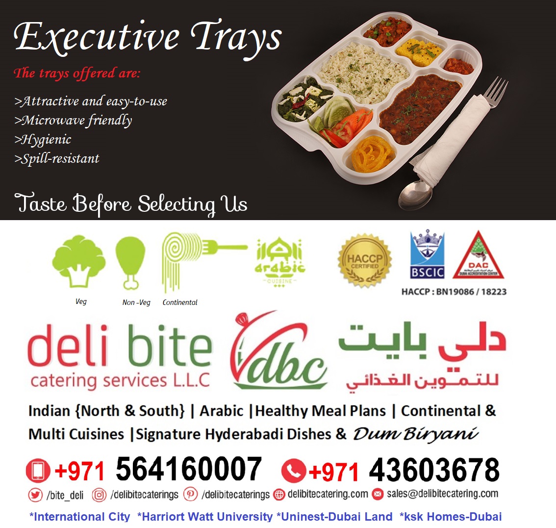 Homely Healthy Hygienic Executive Meals & Nutritious Tiffin Services in Dubai